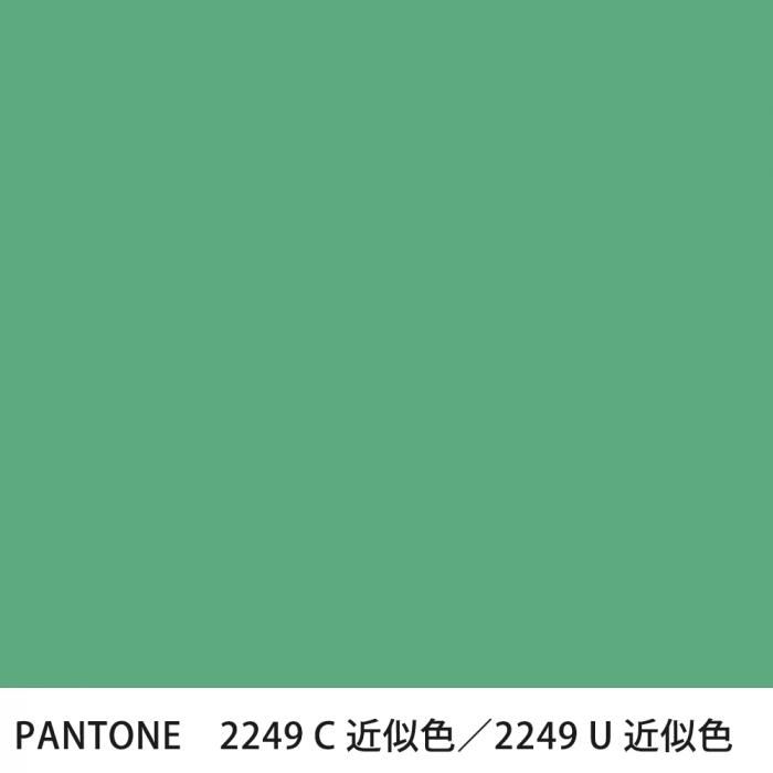  PANTONE 2249C2249U