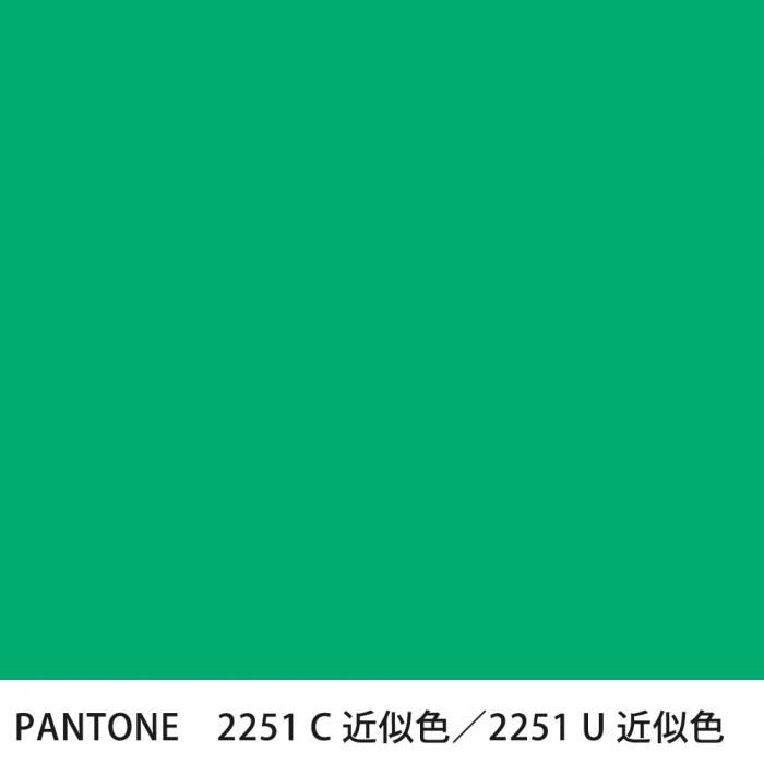  PANTONE 2251C2251U