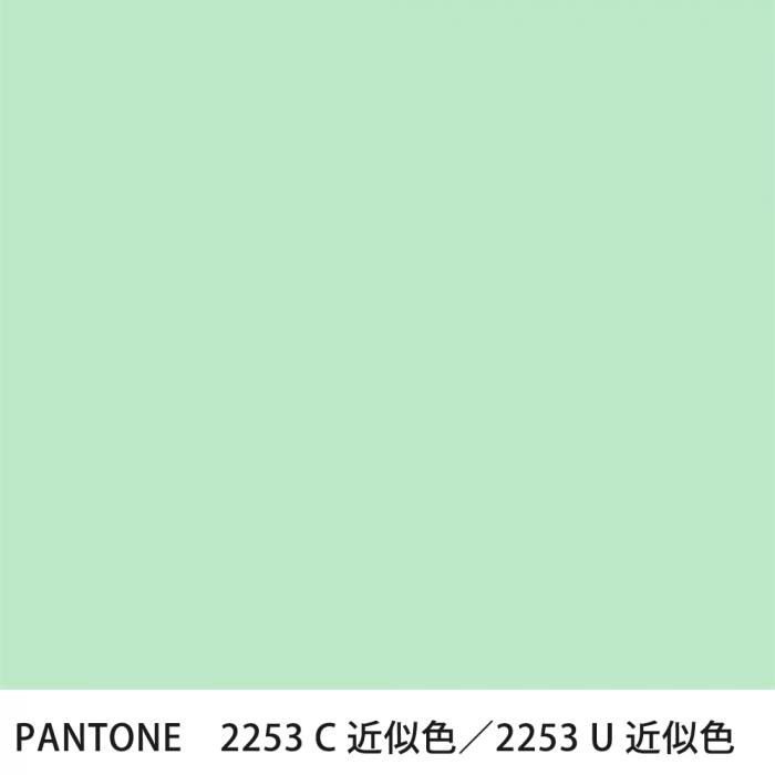  PANTONE 2253C2253U