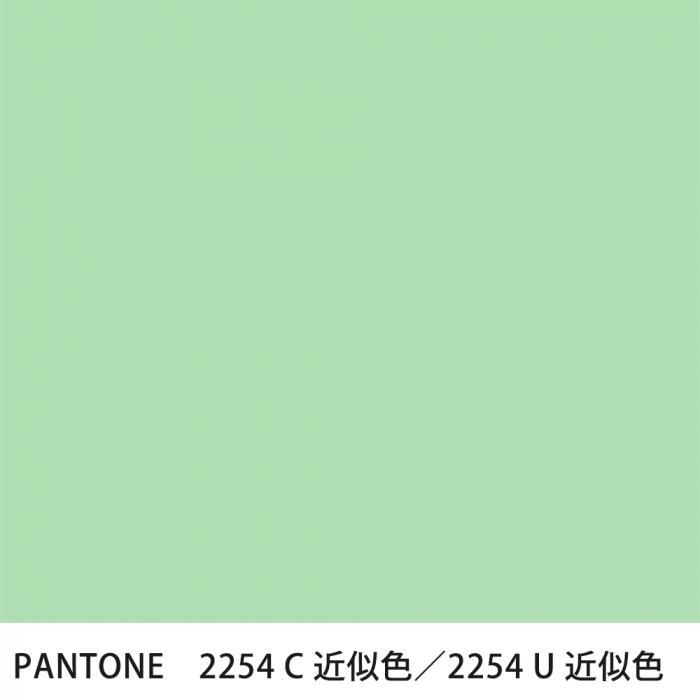  PANTONE 2254C2254U