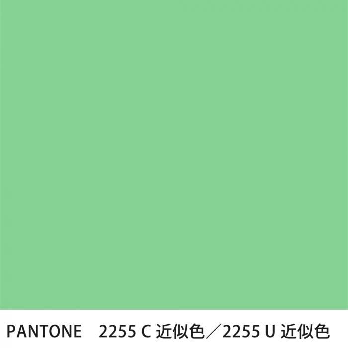  PANTONE 2255C2255U