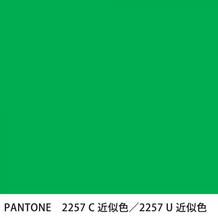  PANTONE 2257C2257U