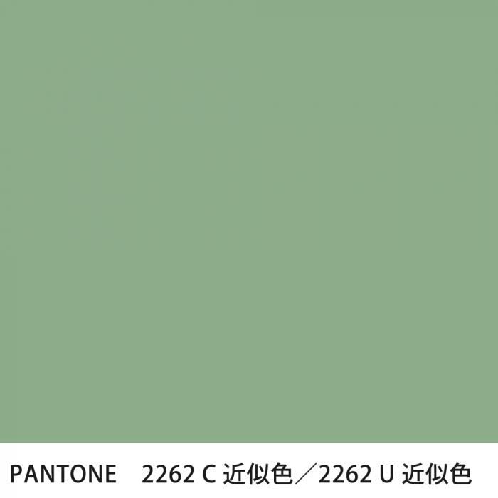  PANTONE 2262C2262U