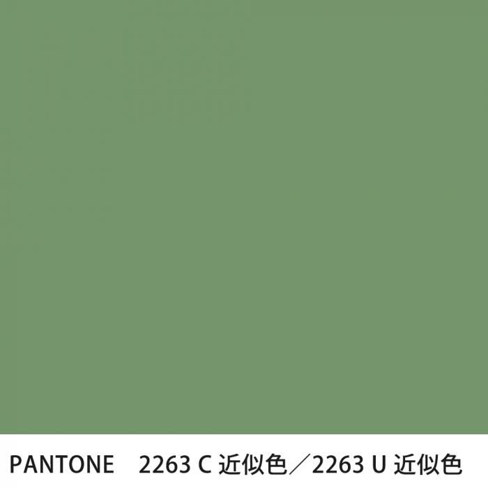  PANTONE 2263C2263U