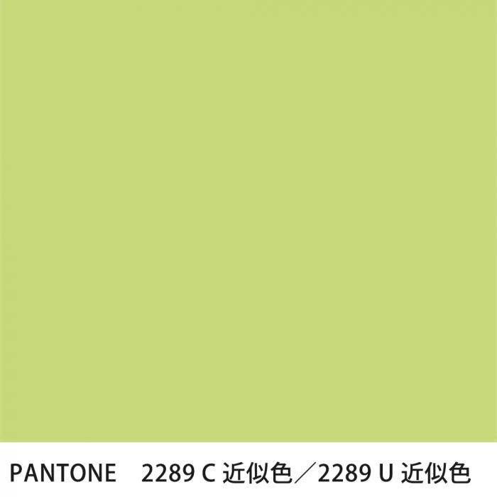  PANTONE 2289C2289U