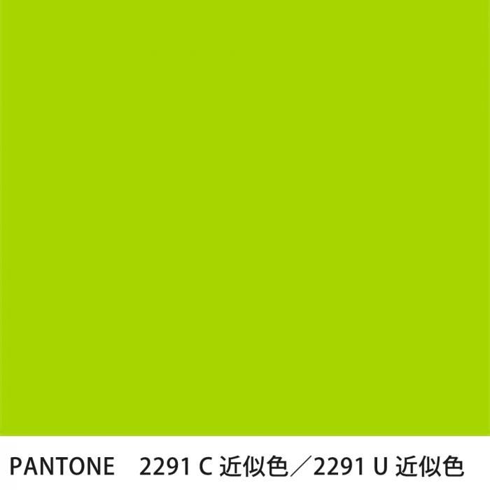  PANTONE 2291C2291U