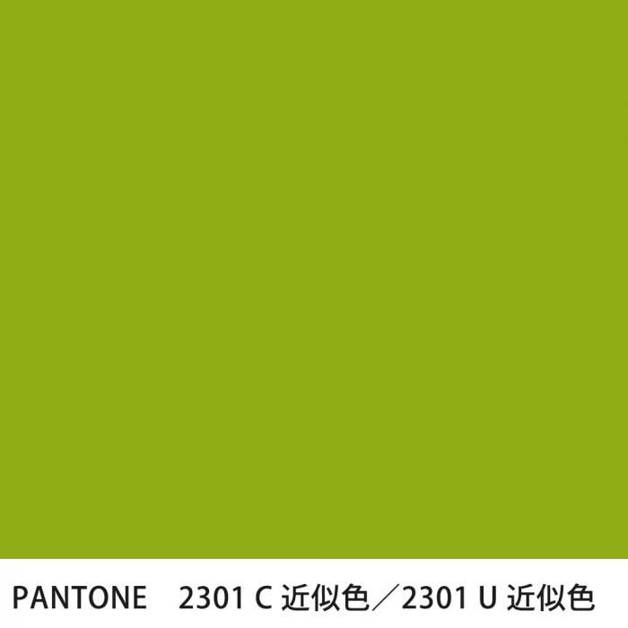  PANTONE 2301C2301U