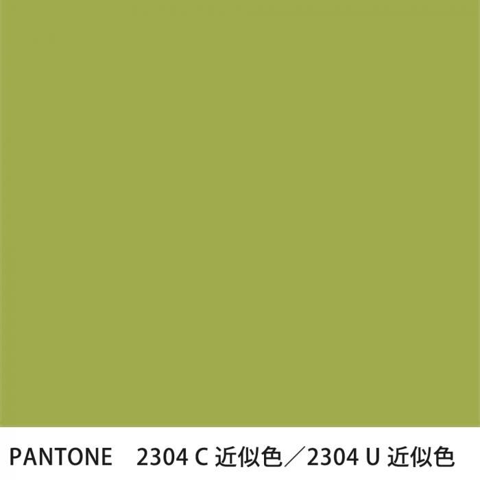  PANTONE 2304C2304U