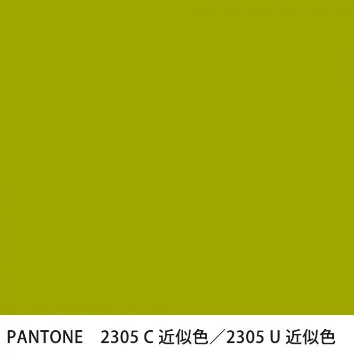  PANTONE 2305C2305U