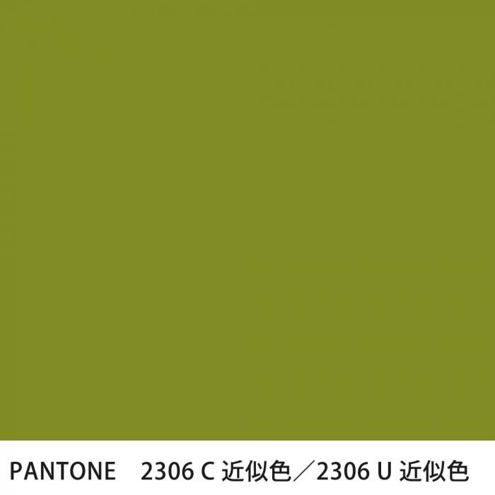  PANTONE 2306C2306U