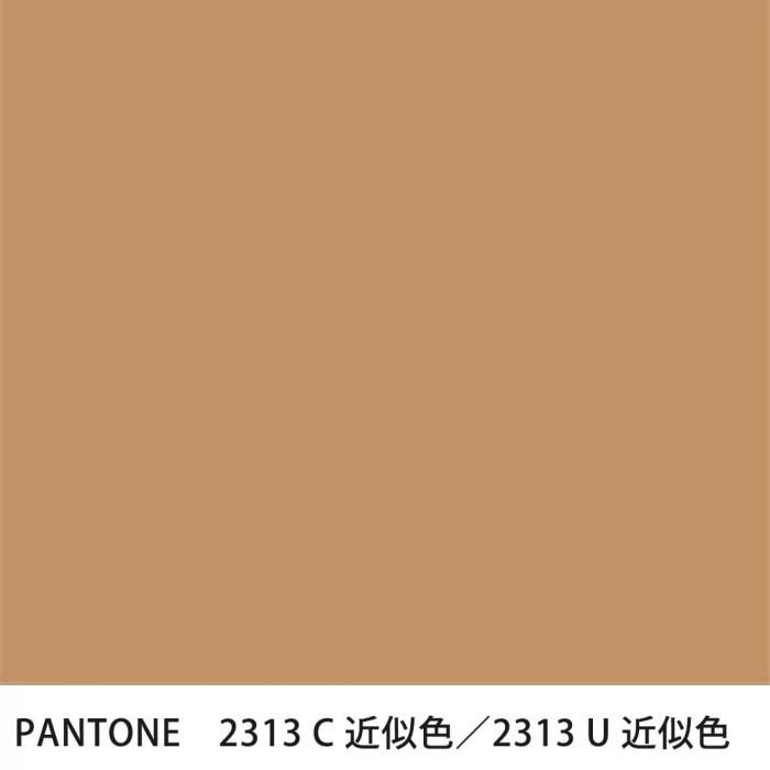  PANTONE 2313C2313U