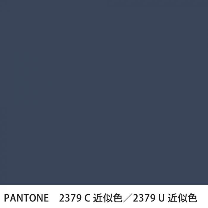  PANTONE 2379C2379U