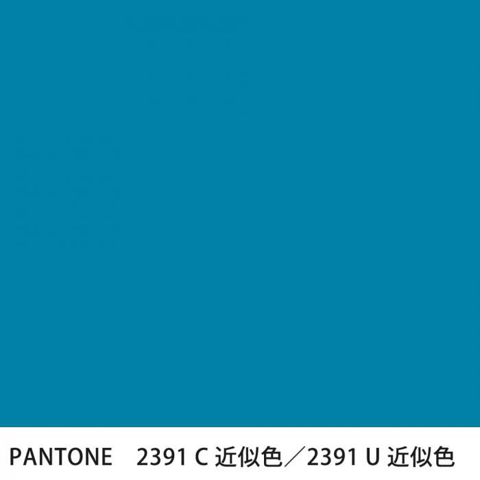  PANTONE 2391C2391U