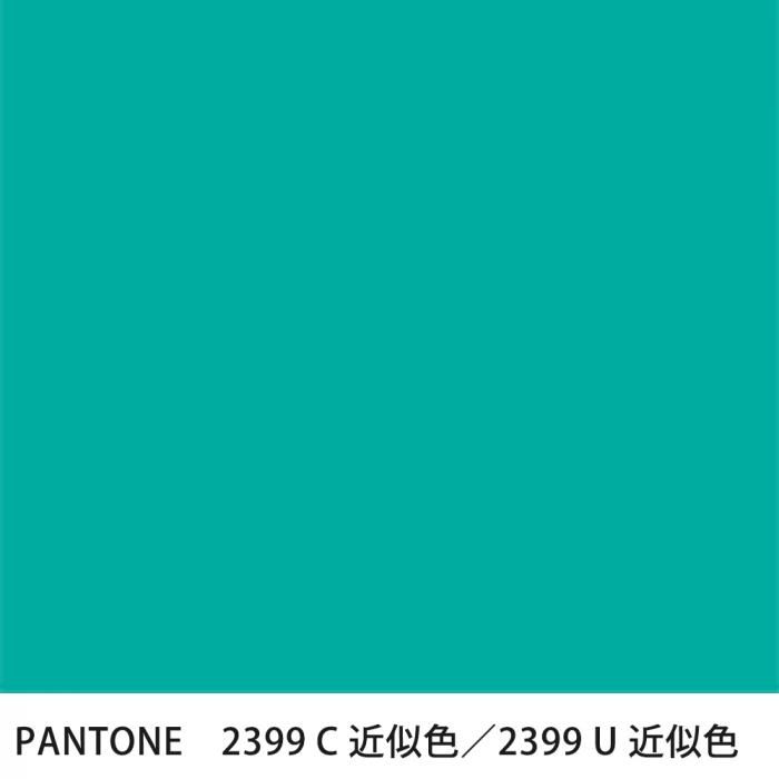  PANTONE 2399C2399U