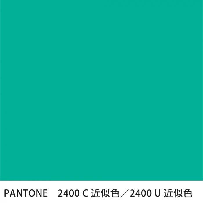  PANTONE 2400C2400U