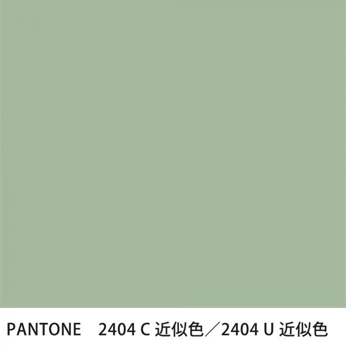  PANTONE 2404C2404U