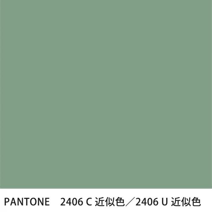  PANTONE 2406C2406U