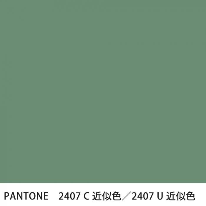  PANTONE 2407C2407U