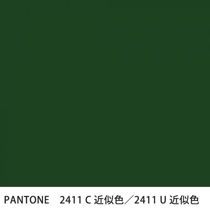  PANTONE 2411C2411U