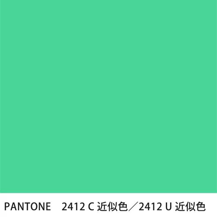  PANTONE 2412C2412U