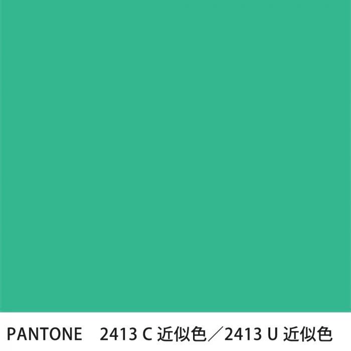  PANTONE 2413C2413U