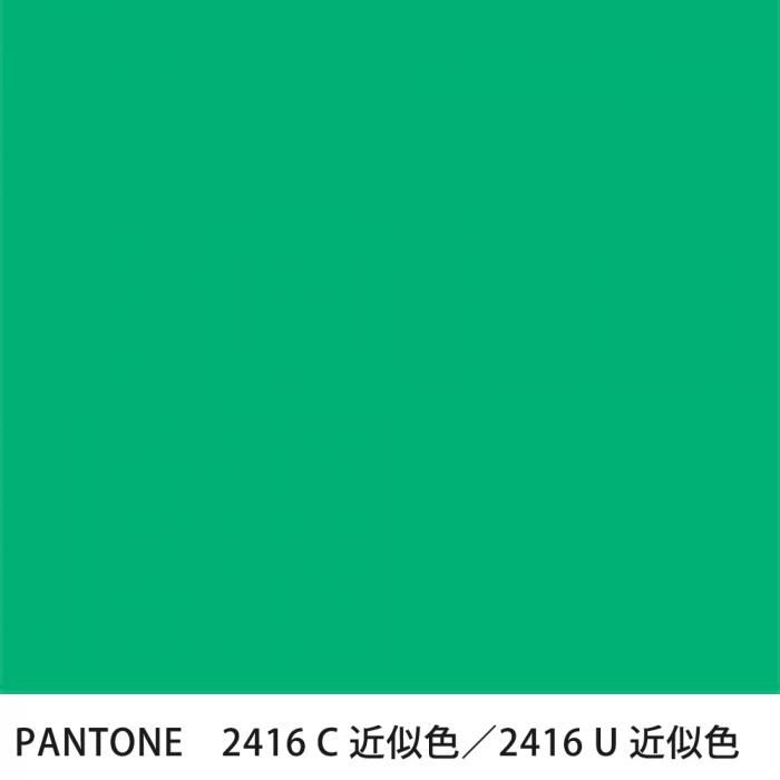  PANTONE 2416C2416U