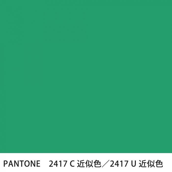  PANTONE 2417C2417U