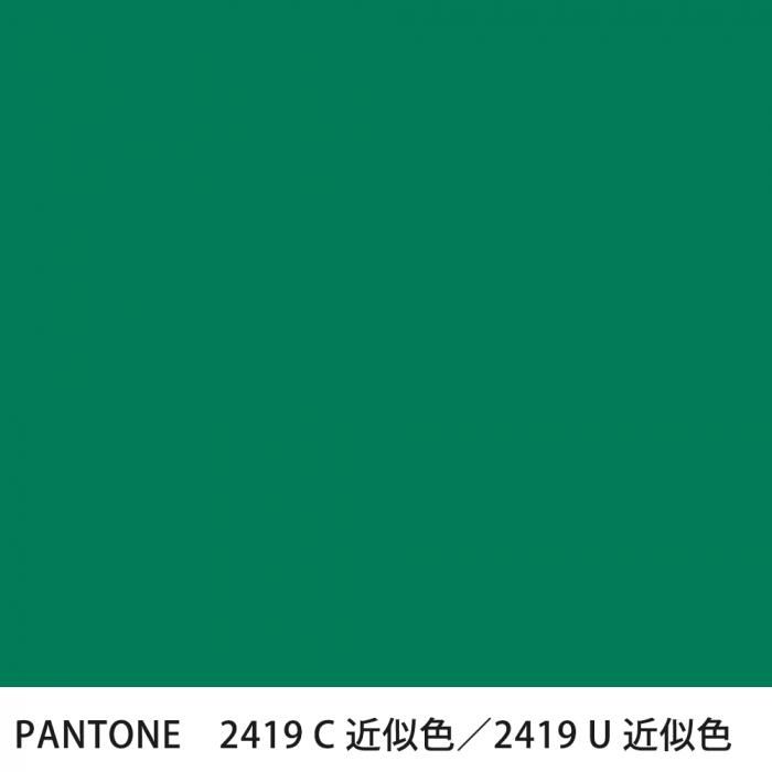  PANTONE 2419C2419U