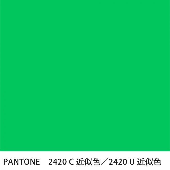  PANTONE 2420C2420U