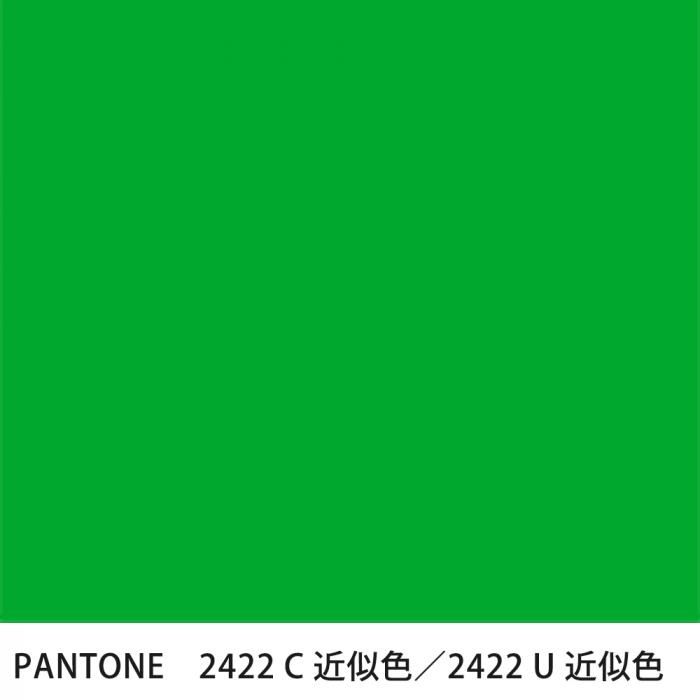  PANTONE 2422C2422U