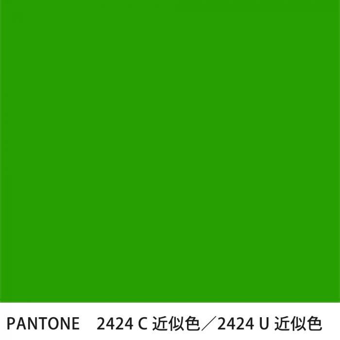  PANTONE 2424C2424U