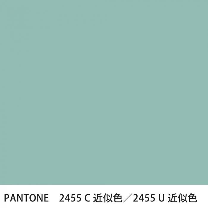  PANTONE 2455C2455U