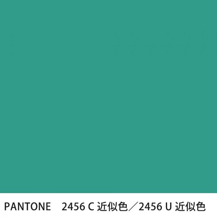  PANTONE 2456C2456U