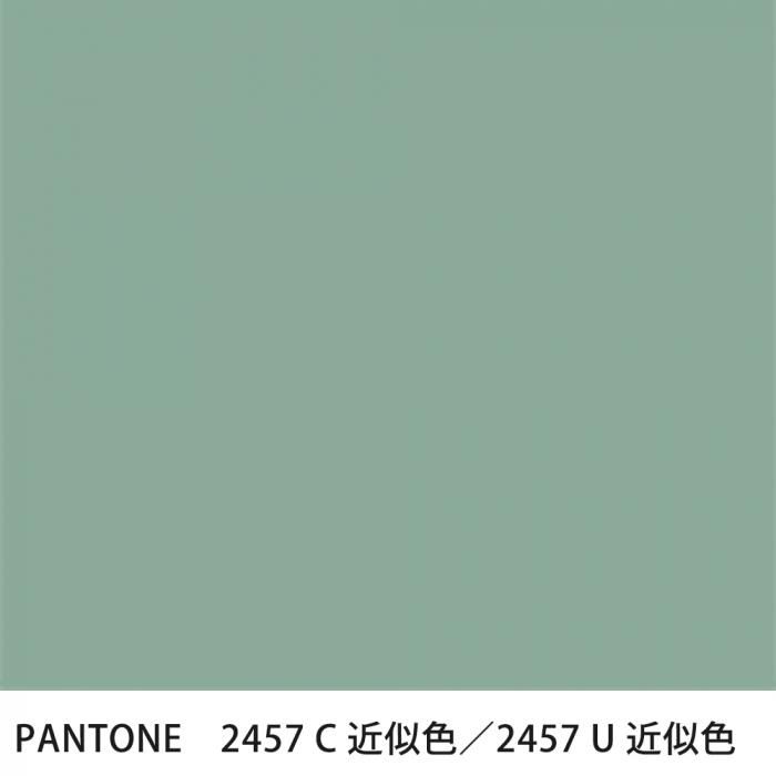  PANTONE 2457C2457U