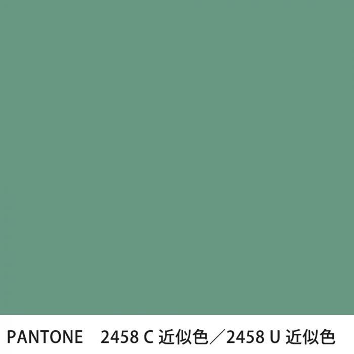  PANTONE 2458C2458U