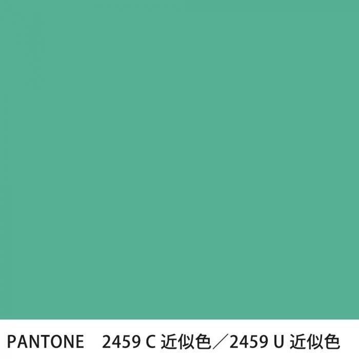  PANTONE 2459C2459U