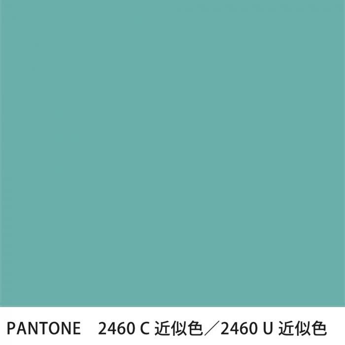  PANTONE 2460C2460U