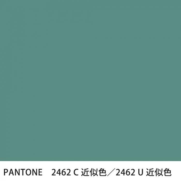  PANTONE 2462C2462U