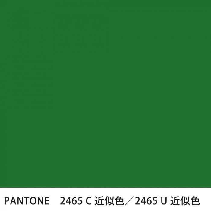  PANTONE 2465C2465U