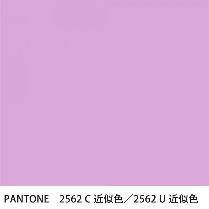  PANTONE 2562C2562U