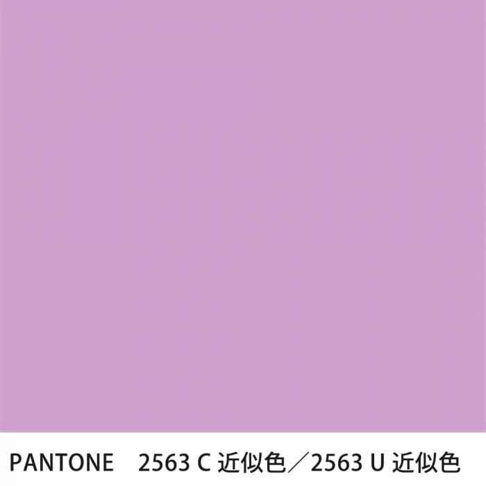  PANTONE 2563C2563U