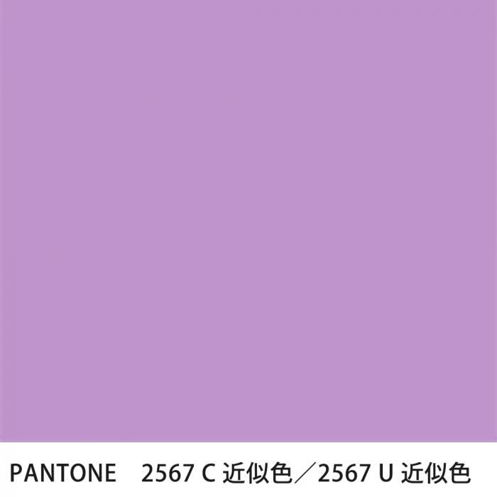  PANTONE 2567C2567U