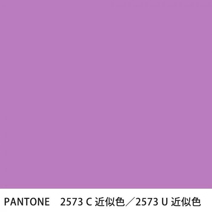  PANTONE 2573C2573U