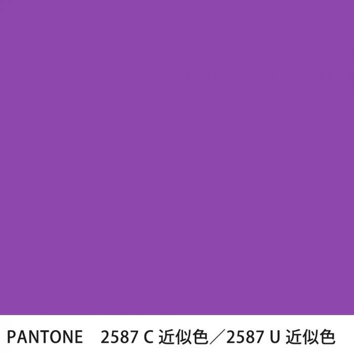  PANTONE 2587C2587U