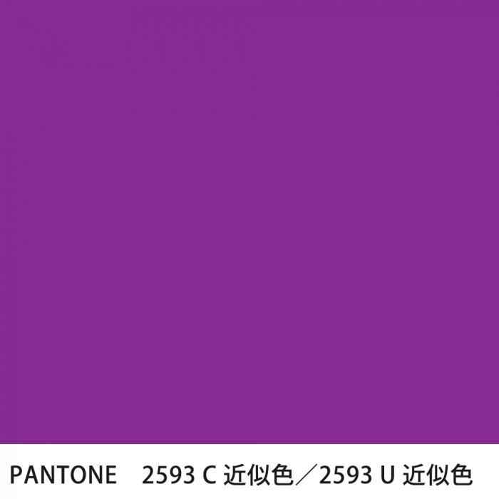  PANTONE 2593C2593U