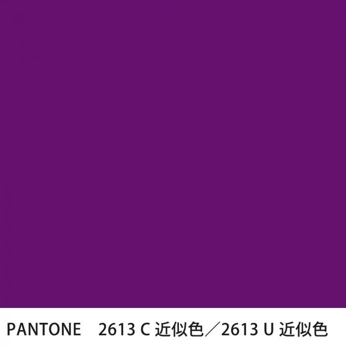  PANTONE 2613C2613U