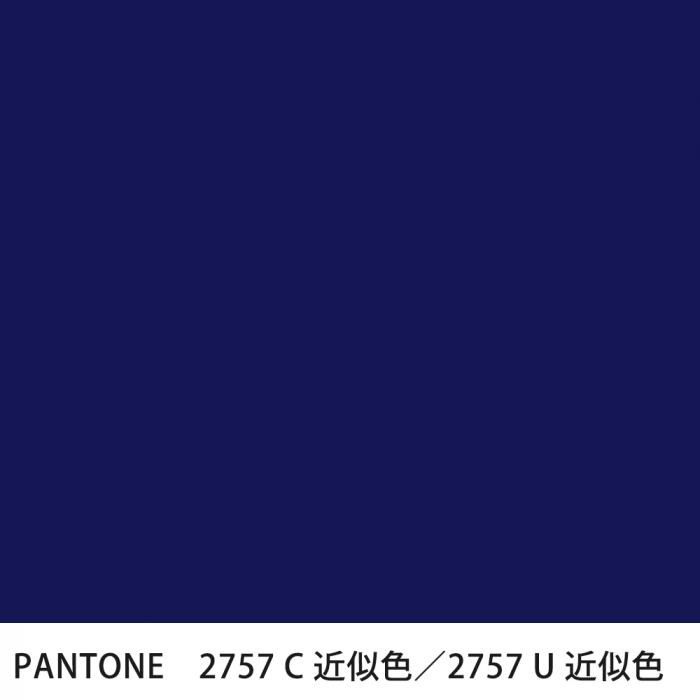  PANTONE 2757C2757U