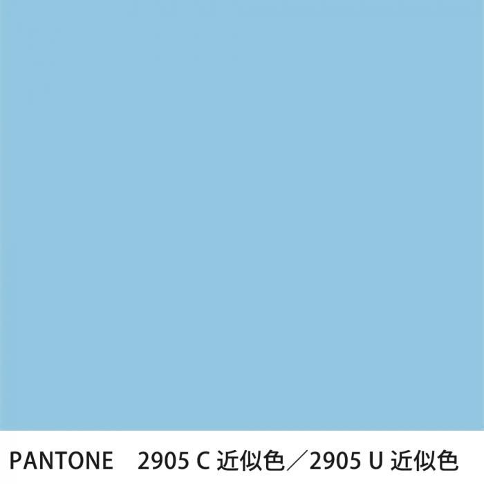  PANTONE 2905C2905U