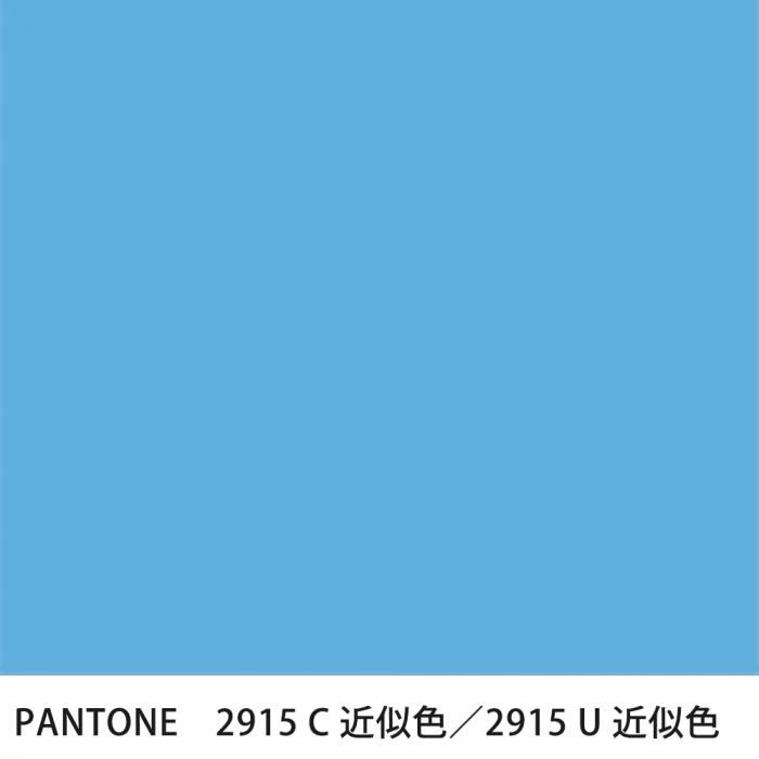  PANTONE 2915C2915U