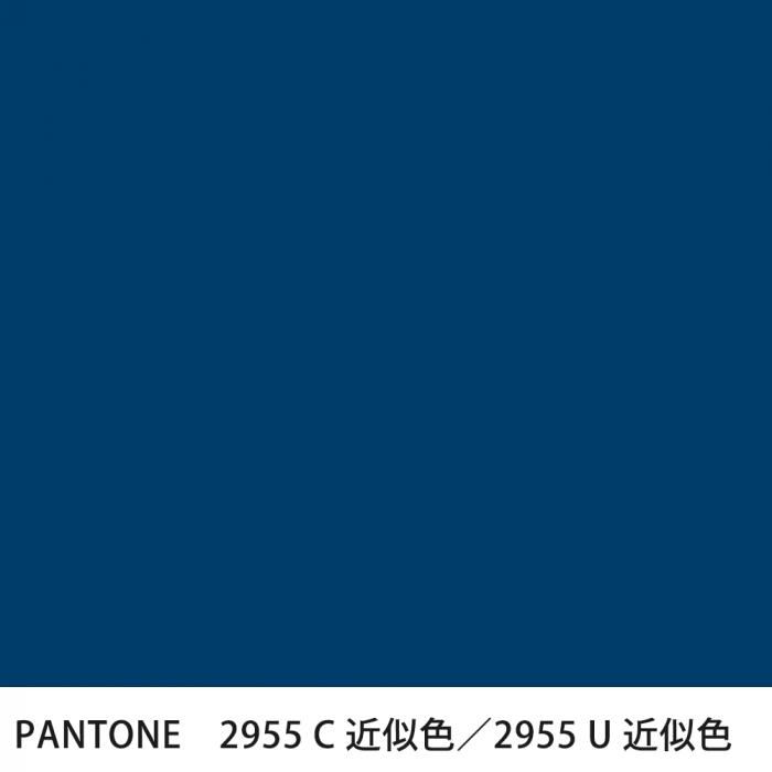  PANTONE 2955C2955U